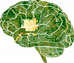 Diagnostic HPI par téléconsultation  